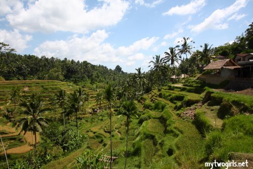 Salt Producer turned Pebble Traders